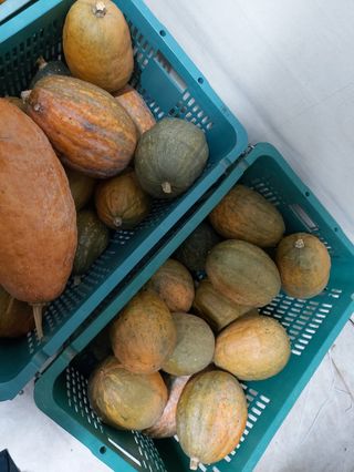 문보라님의 작성글 사진