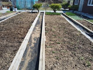 야산 양 형근님의 자유주제 · 자유게시판 작성글 사진