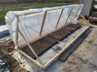 들꽃농장님의 자유주제 · 자유게시판 작성글 사진