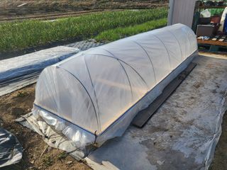 들꽃농장님의 자유주제 · 자유게시판 작성글 사진