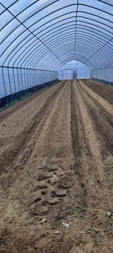 팜모닝 파·영농일지 게시글 이미지