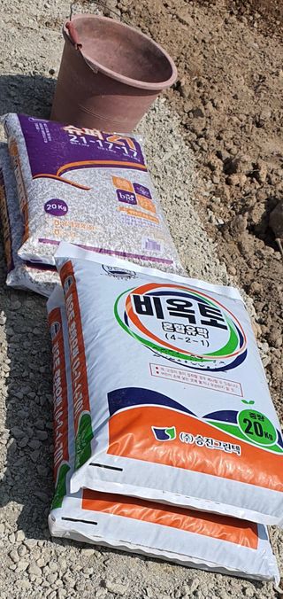 이춘기님의 감자 · 영농일지 작성글 사진