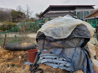 땅땅님의 고구마 · 자유게시판 작성글 사진
