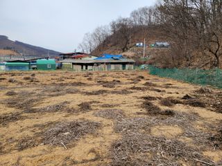 땅땅님의 고구마 · 자유게시판 작성글 사진