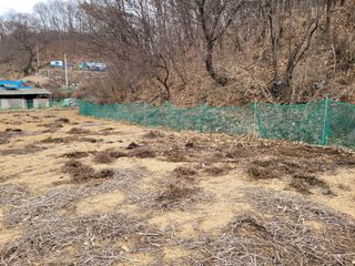 땅땅님의 고구마 · 자유게시판 작성글 사진