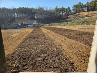 이호봉님의 고추 · 영농일지 작성글 사진