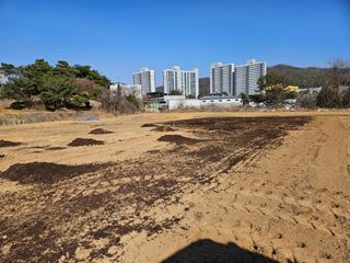 이호봉님의 고추 · 영농일지 작성글 사진