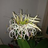 팜모닝 자유주제·자유게시판 게시글 이미지