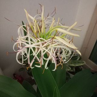 윤은정님의 자유주제 · 자유게시판 작성글 사진