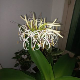 윤은정님의 자유주제 · 자유게시판 작성글 사진