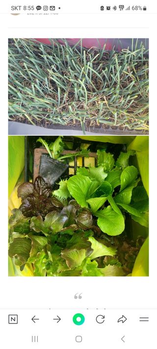 행복농장아다나님의 자유주제 · 자유게시판 작성글 사진