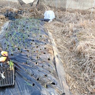 행복농장아다나님의 자유주제 · 자유게시판 작성글 사진