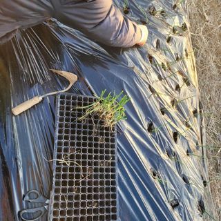 행복농장아다나님의 자유주제 · 자유게시판 작성글 사진