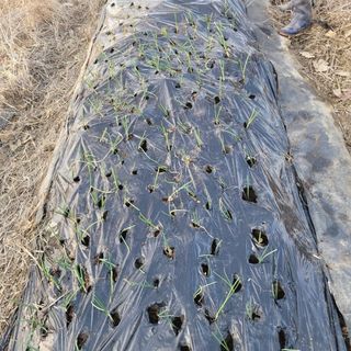 행복농장아다나님의 자유주제 · 자유게시판 작성글 사진