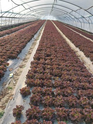 고두윤님의 작성글 사진