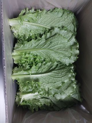 고두윤님의 작성글 사진