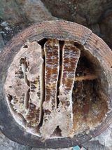 팜모닝 · 게시글 이미지