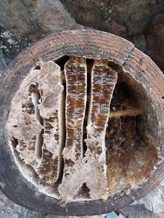 오석한님의 작성글 사진