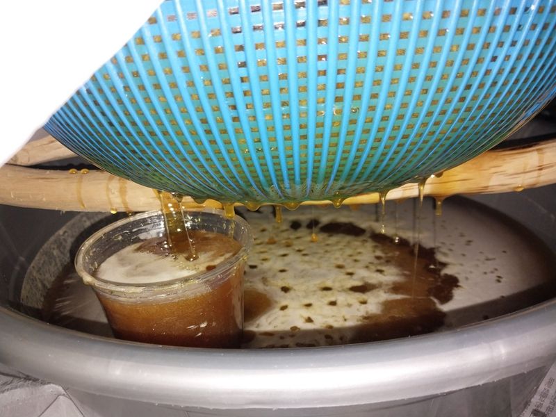 오석한님의 장터 판매 상품 [토종꿀 2.4kg(한되)] 첨부 사진