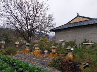 오석한님의 작성글 사진