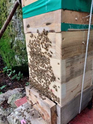 오석한님의 작성글 사진