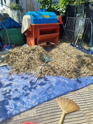 호미대장님의 작성글 사진