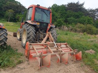 형제농원 (이상팔)님의 작성글 사진