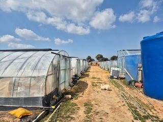 김동수님의 고구마 · 자유게시판 작성글 사진