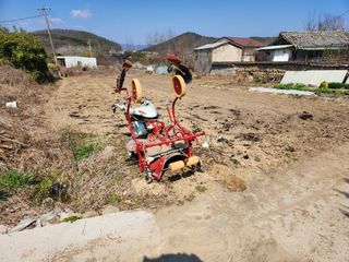 시골할배님의 농사, 무엇이든 물어보세요! · 참여글 작성글 사진