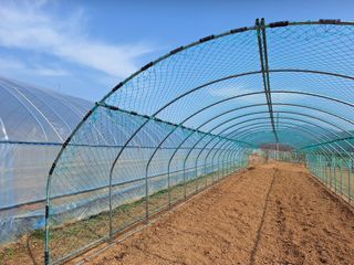 양성근님의 토마토 · 영농일지 작성글 사진