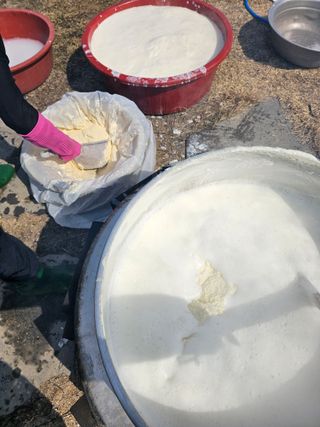 천승준님의 자유주제 · 자유게시판 작성글 사진