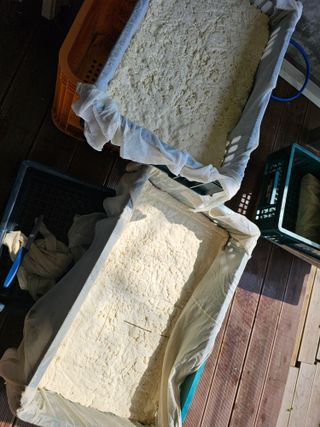 천승준님의 자유주제 · 자유게시판 작성글 사진