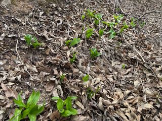 김지훈님의 자유주제 · 자유게시판 작성글 사진