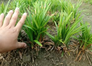 이은호님의 작성글 사진