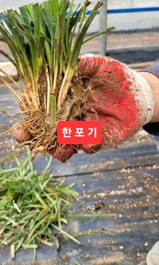 이은호님의 작성글 사진