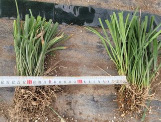 이은호님의 작성글 사진