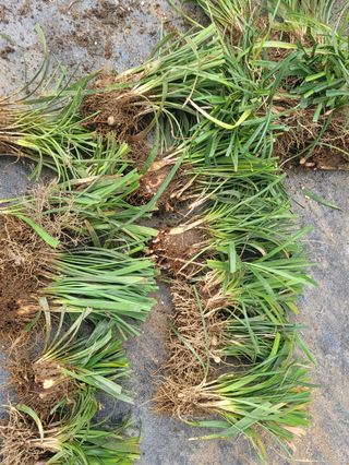 이은호님의 작성글 사진