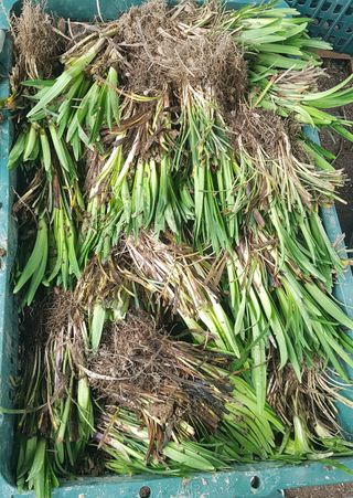 이은호님의 작성글 사진