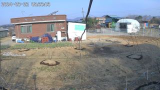 이호형님의 기타작물 · 영농일지 작성글 사진