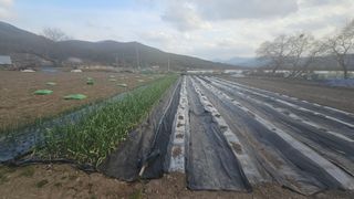 은태농장님의 자유주제 · 자유게시판 작성글 사진