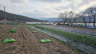 은태농장님의 자유주제 · 자유게시판 작성글 사진