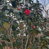 팜모닝 자유주제·사진전 게시글 이미지