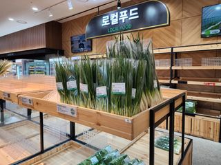 윤창호님의 파 · 영농일지 작성글 사진