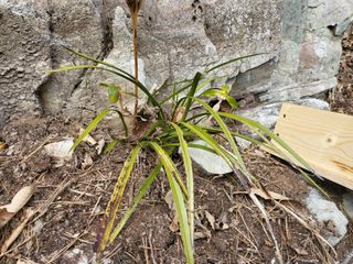 정진협님의 자유주제 · 자유게시판 작성글 사진