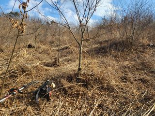 정진협님의 자유주제 · 자유게시판 작성글 사진
