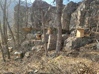 정진협님의 자유주제 · 자유게시판 작성글 사진