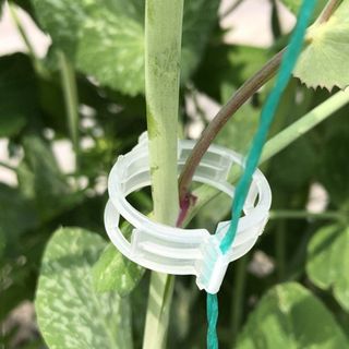 다이쏘(권자영)님의 작성글 사진