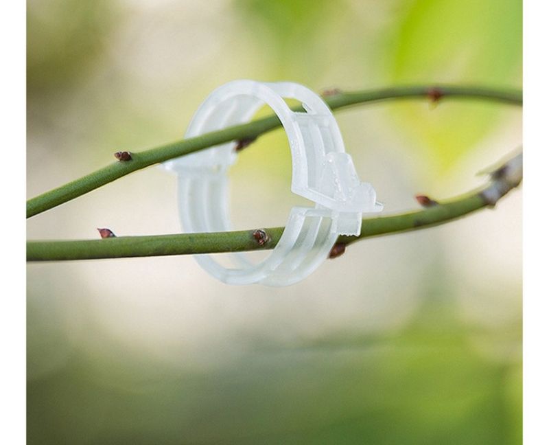 다이쏘(권자영)님의 장터 판매 상품 [식물 지지대 고정 클립 100개들이] 첨부 사진