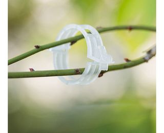 다이쏘(권자영)님의 작성글 사진