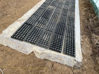 정한용님의 고추 · 영농일지 작성글 사진